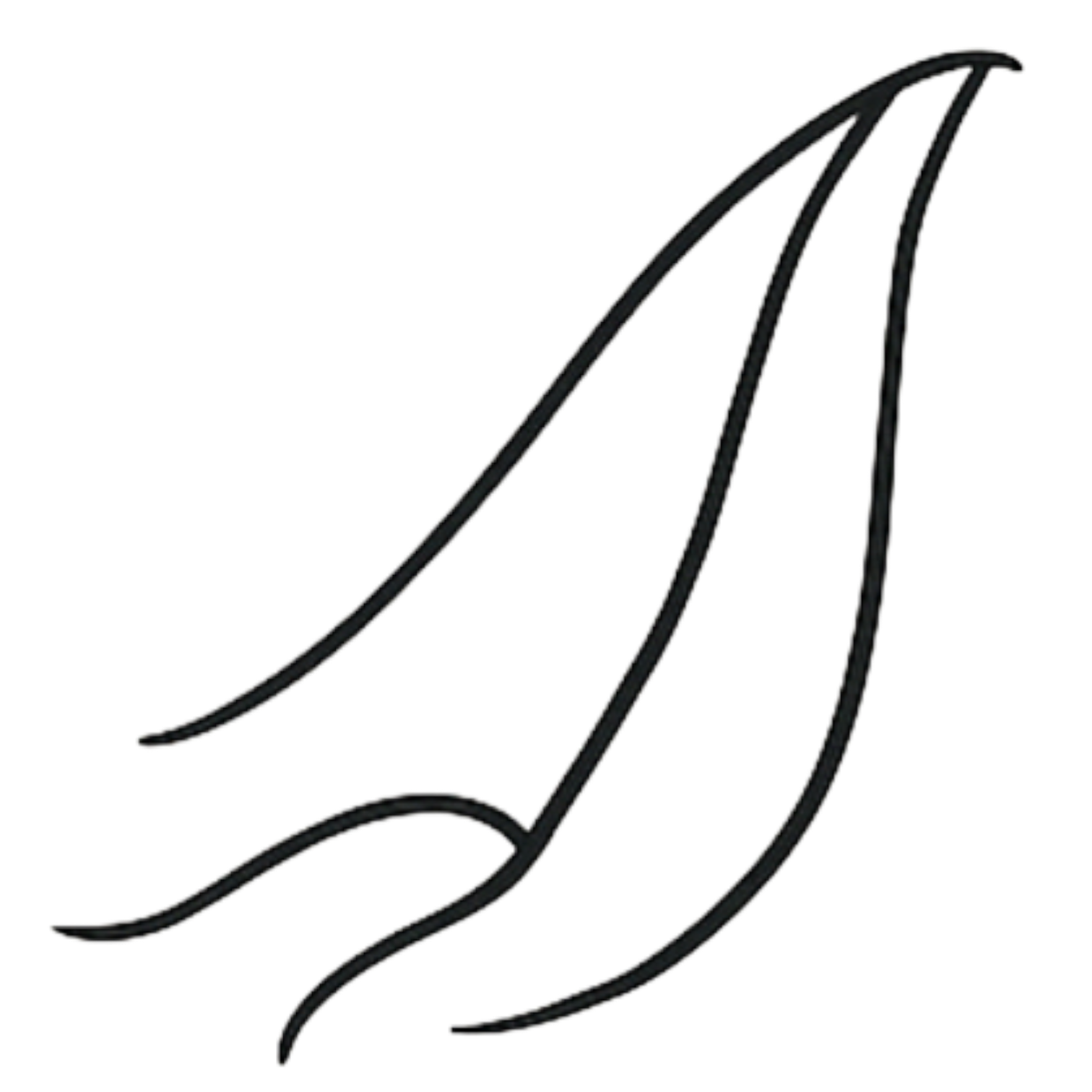 Pregio dei Materiali