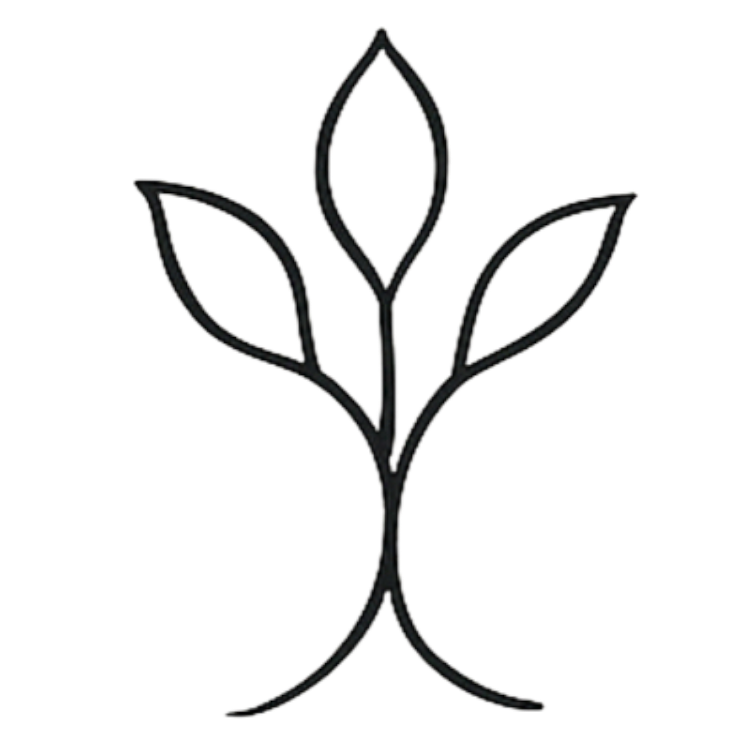 Un’Eredità di Famiglia